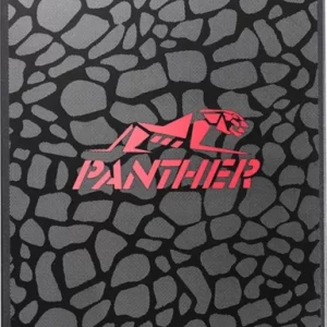 SSD диск Apacer Panther AS350 256GB (AP256GAS350-1)