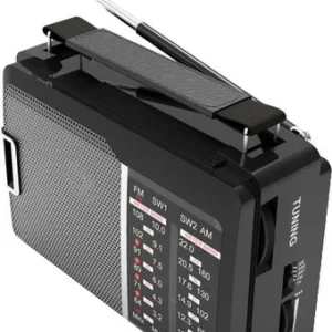 Радиоприемник Ritmix RPR-190